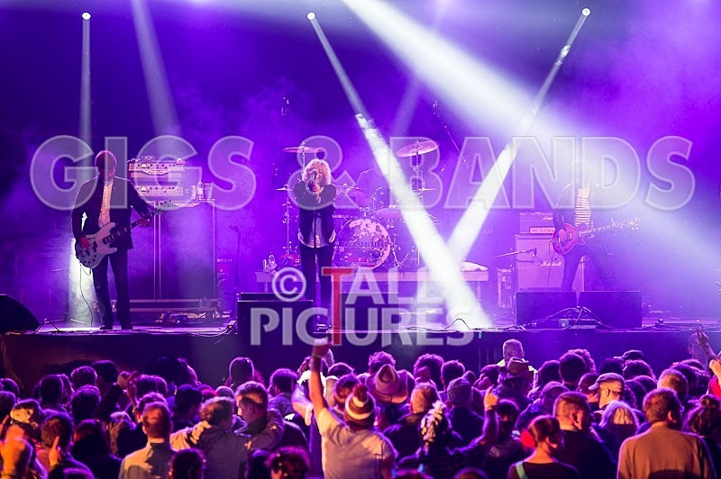 The Charlatans-45 - THE CHARLATANS