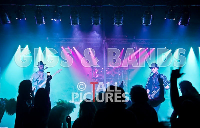 Peppered Ant Legs-61 - PEPPERED ANT LEGS