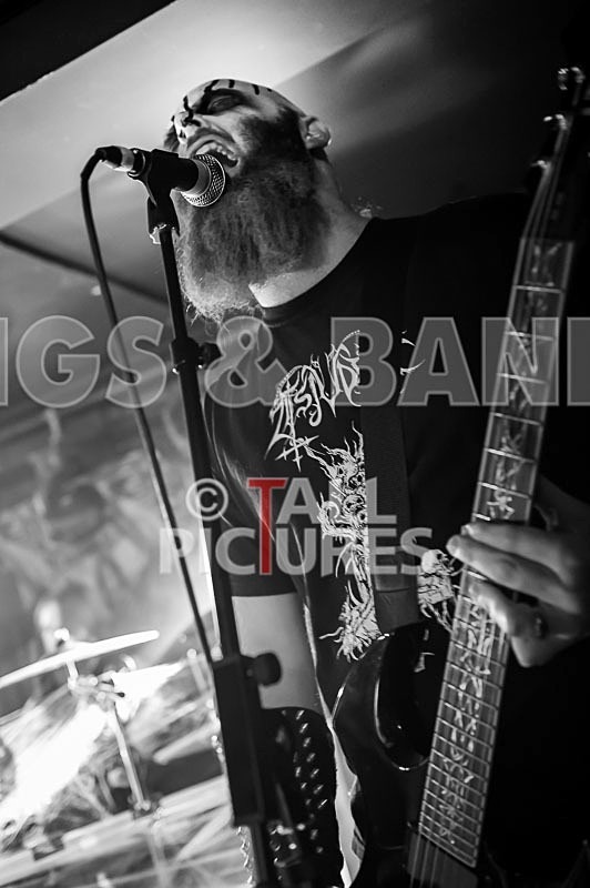 Darker Shores-23 - DARKER SHORES