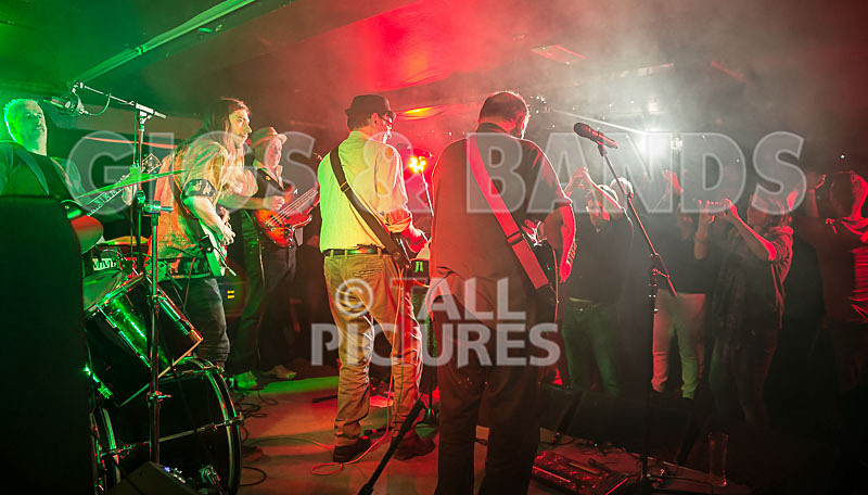 Alfie Bartons 25th Anniversary Gig-114 - ALFIE BARTON'S 25th ANNIVERSARY SPECIAL
