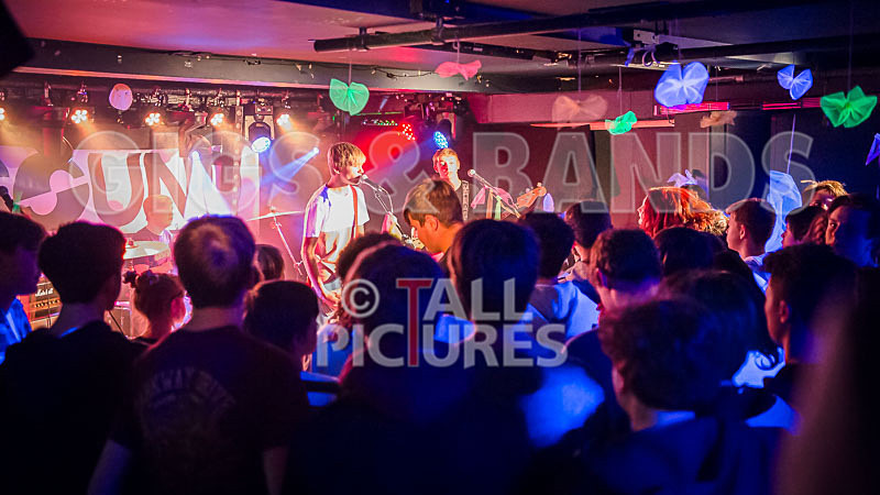 Cosmic Fish-30 - COSMIC FISH