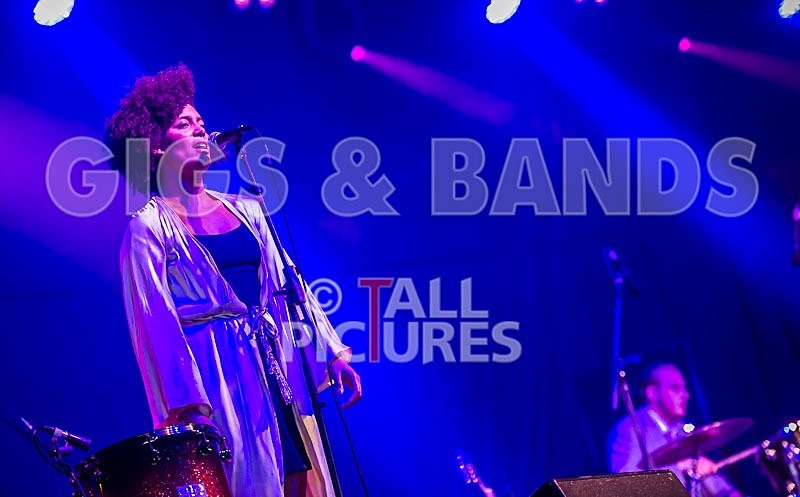 King Charles-9 - KING CHARLES