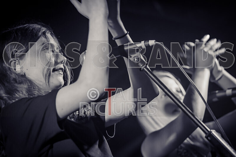 The Diehearts-15 - THE DIEHEARTS