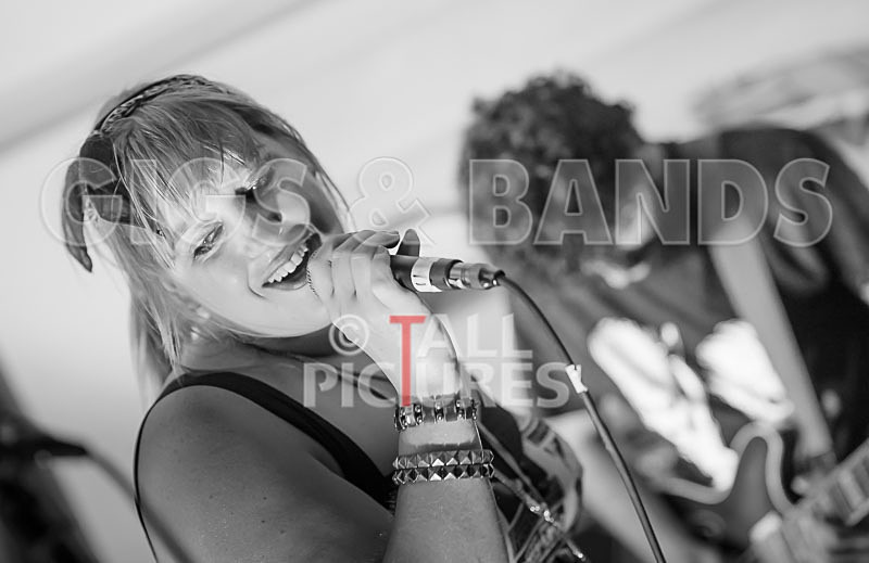 Static Alice-156 - STATIC ALICE