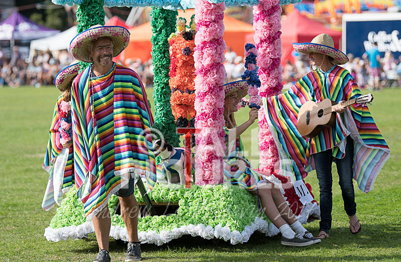 North Show 2017-53 - NORTH SHOW 2017