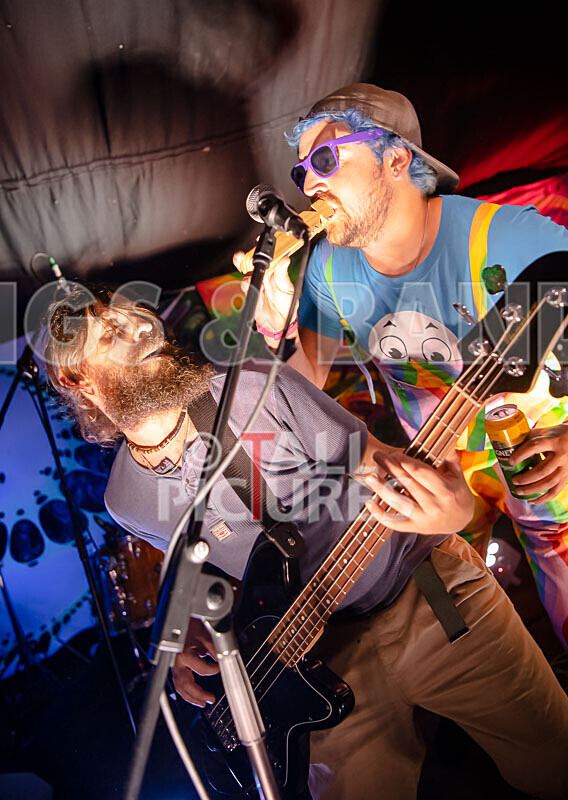 Honest Crooks-256 - HONEST CROOKS