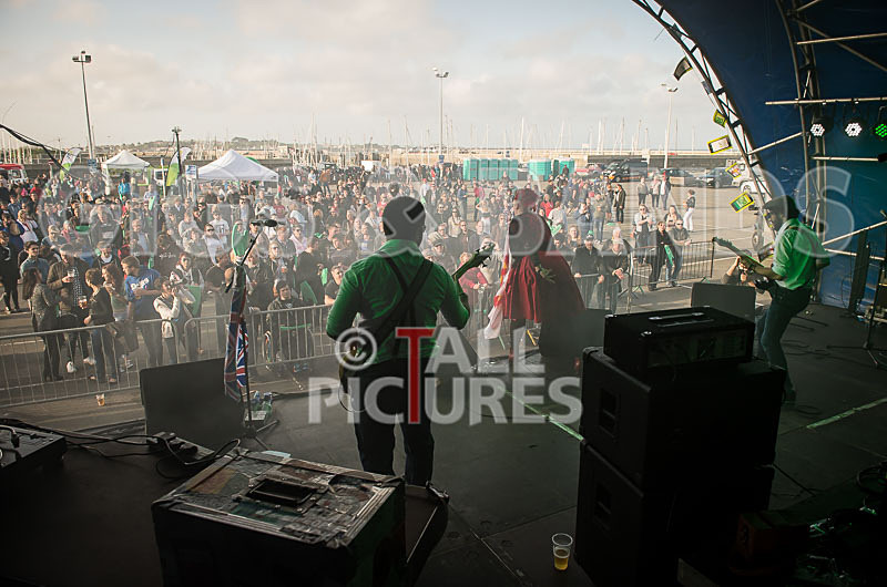 Static Alice-365 - STATIC ALICE