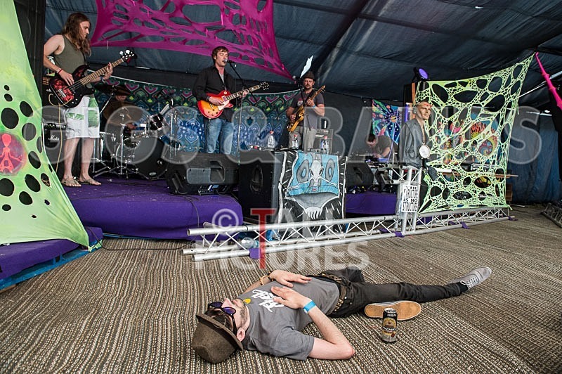 Chaos 2013_First Taster-65 - CHAOS 2013.... THE FIRST TASTERS