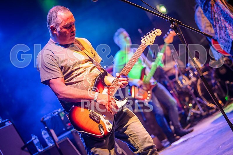 The Sacred Hearts-4 - THE SACRED HEARTS