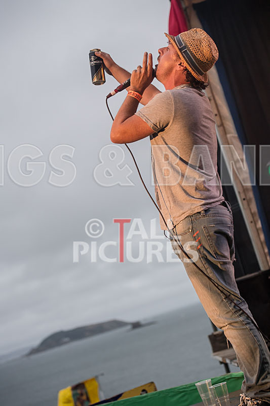 The Pirates-8 - THE PIRATES