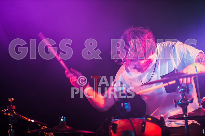 To the Woods-101 - TO THE WOODS