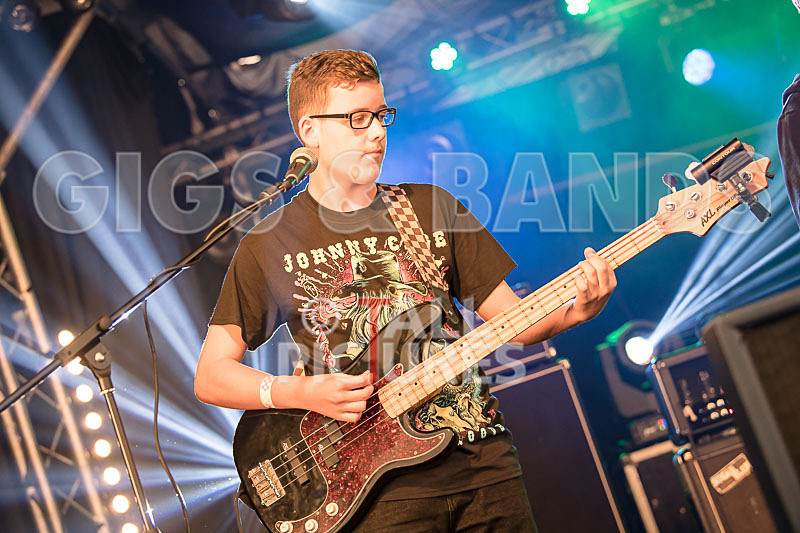 The Violet Diversion-18 - THE VIOLET DIVERSION