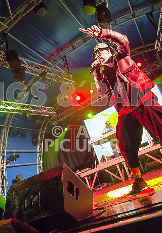 Jungle Brothers-10 - JUNGLE BROTHERS