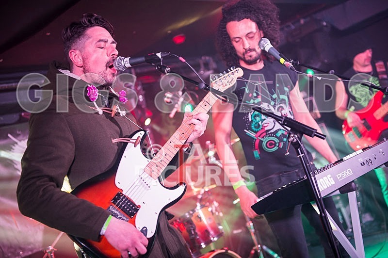 Harlequin Knights-30 - HARLEQUIN KNIGHTS