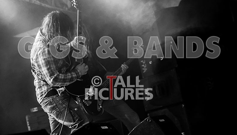 Viking Skull-27 - VIKING SKULL