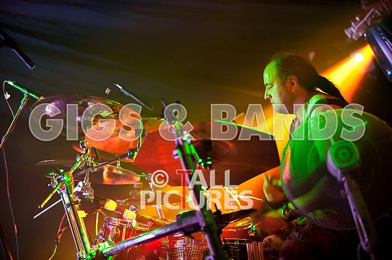 Peppered Ants Legs-8 - PEPPERED ANT LEGS at GREENMAN CHAOS 2009