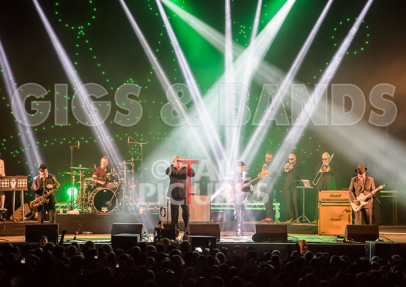 Madness-35 - MADNESS