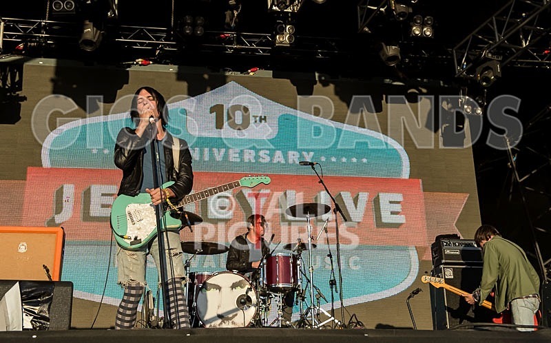 The Cribs-4 - THE CRIBS