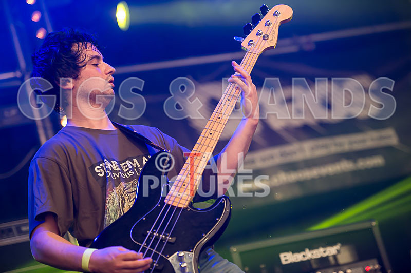 Stone Em All-230 - STONE EM ALL