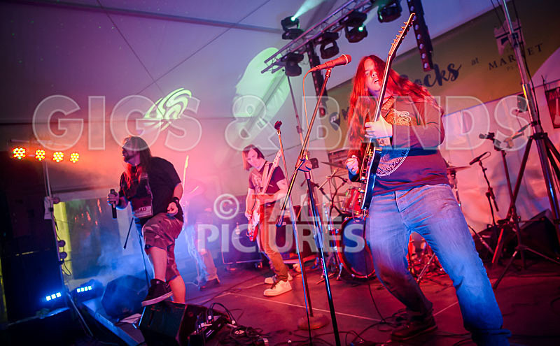 Stone Em All-351 - STONE EM ALL
