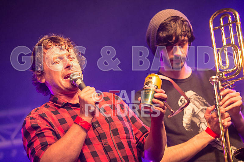 Pirate Party Brigade-26 - PIRATE PARTY BRIGADE