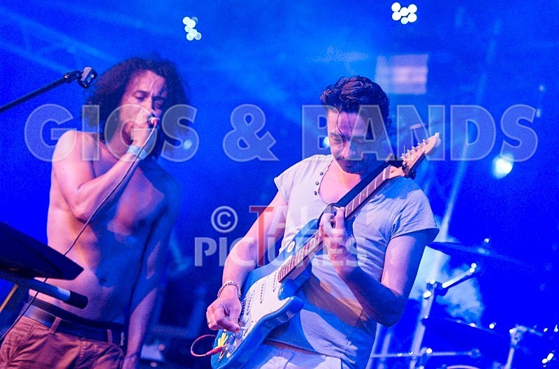 Chaos 2013_Harlequin Knights-47 - HARLEQUIN KNIGHTS