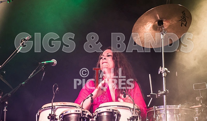 Macy Gray-29 - MACY GRAY