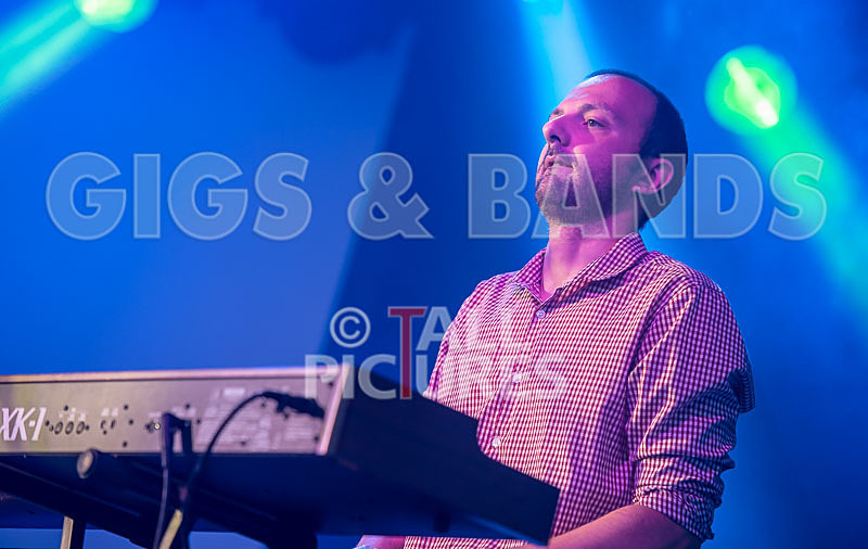 The Delegators-7 - THE DELEGATORS