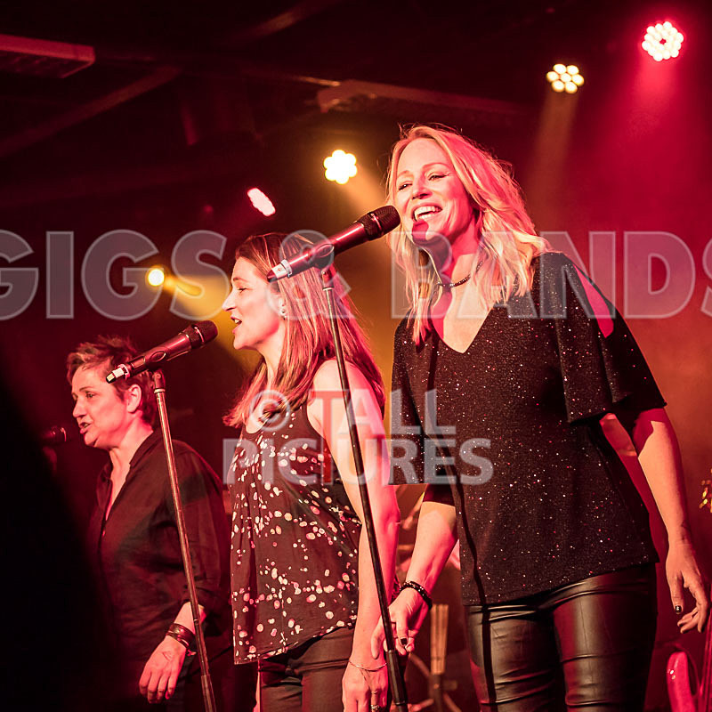 King Rat_30th Birthday Gig-9 - KING RAT AND THE SOUL CATS 30th BIRTHDAY