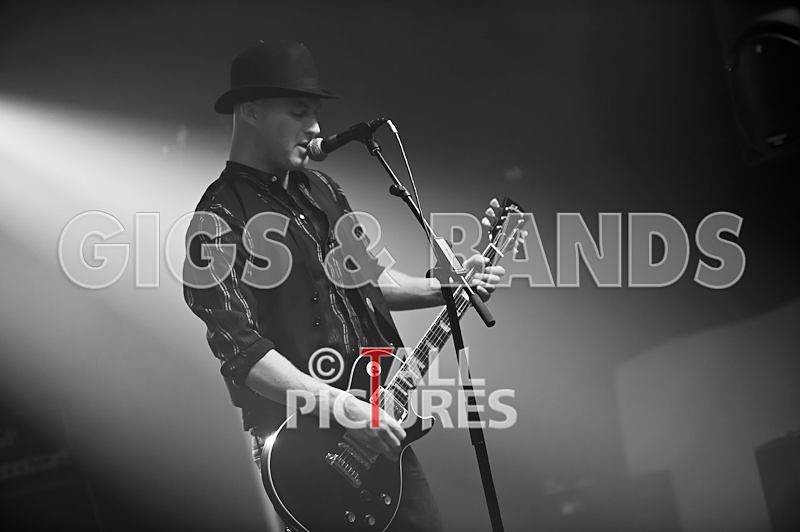 Peppered Ant Legs-68 - PEPPERED ANT LEGS