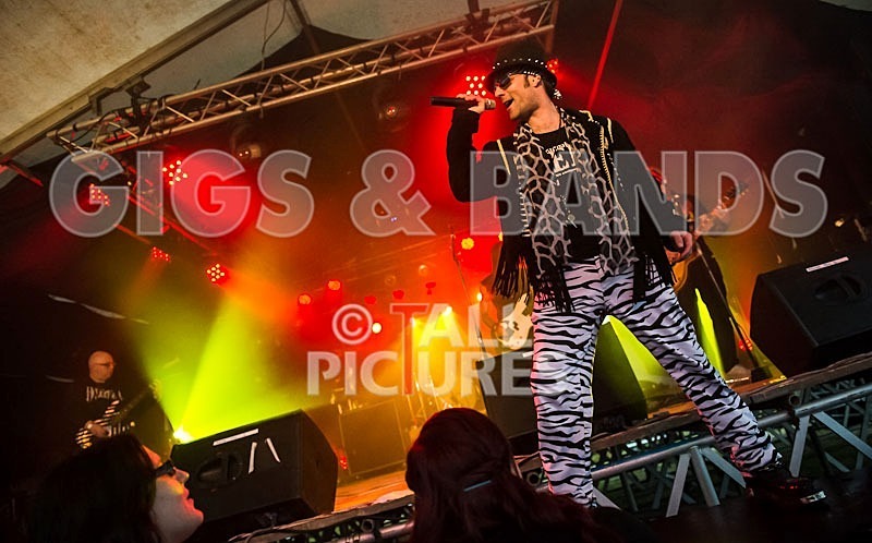 Big Machine_Chaos8-36 - BIG MACHINE