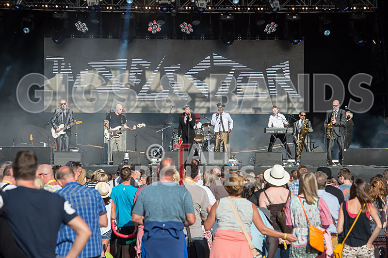 The Selecter-35 - THE SELECTER