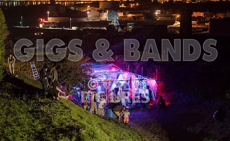 Vale Earth Fair 2017_PRESS EDIT-21 - VALE EARTH FAIR 2017_THE PRESS EDIT