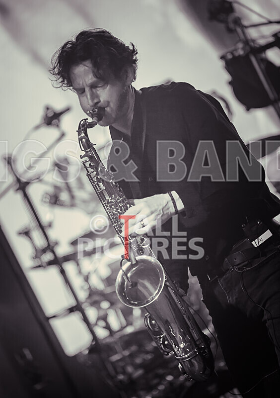 Elysium as Pink Floyd-133 - ELYSIUM as PINK FLOYD