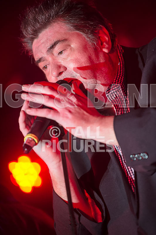 Alfie Bartons 25th Anniversary Gig-17 - ALFIE BARTON'S 25th ANNIVERSARY SPECIAL