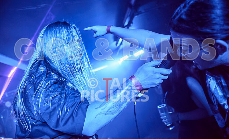 Stone Em All-230 - STONE EM ALL