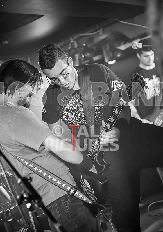 Demise of Sanity-72 - DEMISE OF SANITY