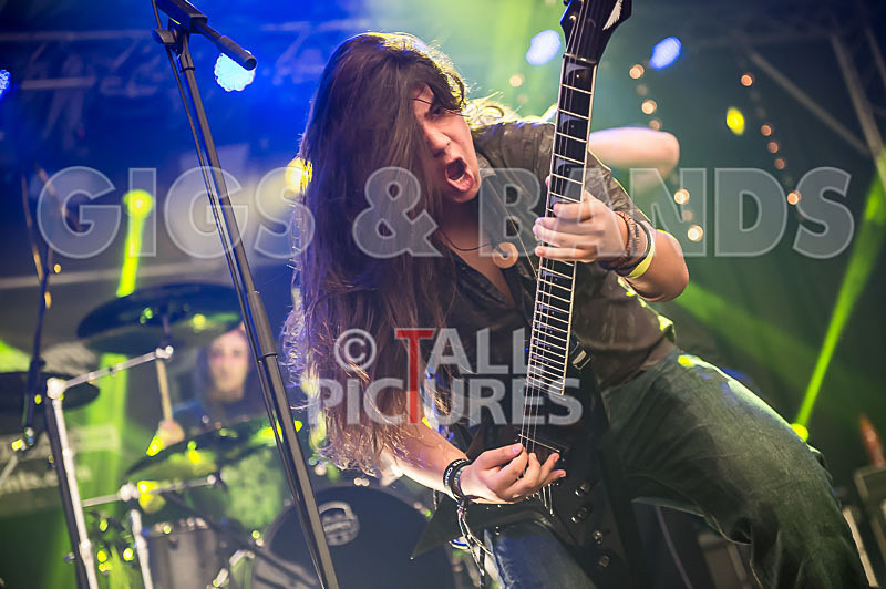 Stone Em All-229 - STONE EM ALL