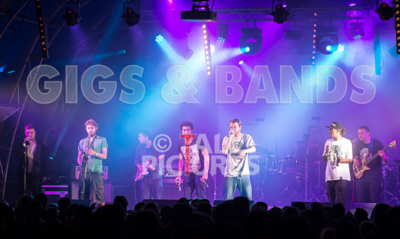 The Mouse Outfit-32 - THE MOUSE OUTFIT