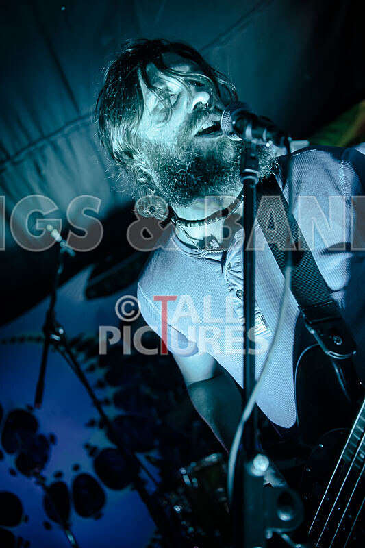 Honest Crooks-244 - HONEST CROOKS