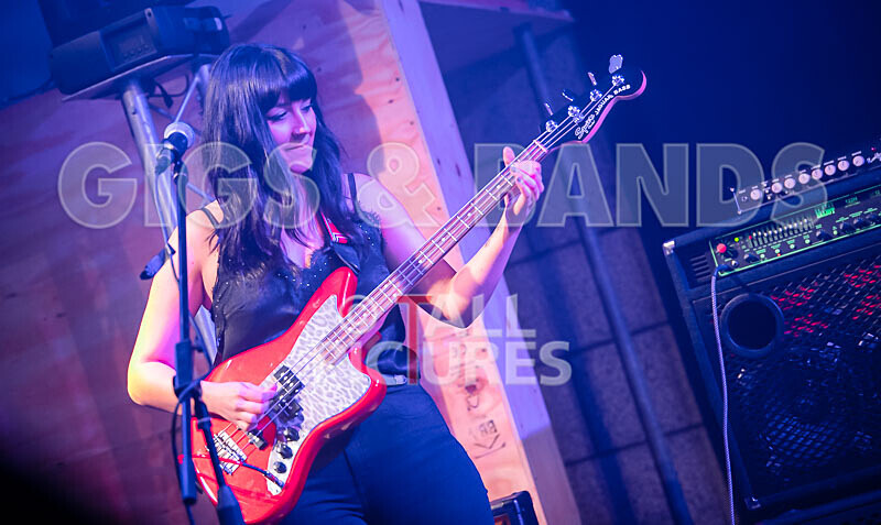 The Tarantulips-18 - THE TARANTULIPS