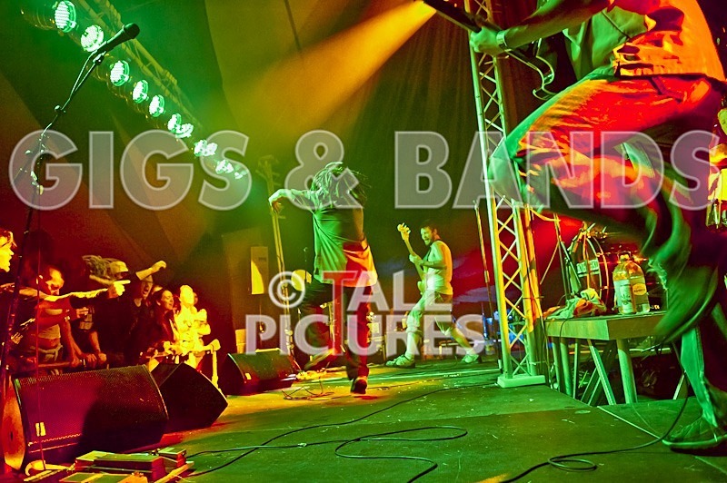 Enraged-15 - ENRAGED