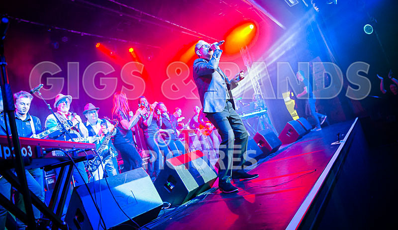 Harry Dean Junior and the New Breed-16 - HARRY DEAN JUNIOR AND THE NEW BREED