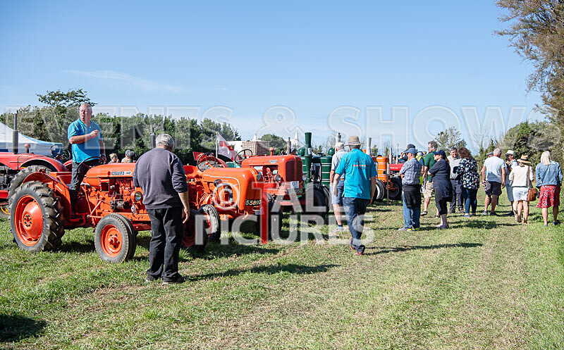 Guernsey Agricultural Show 2021-223 - GUERNSEY AGRICULTURAL SHOW 2021
