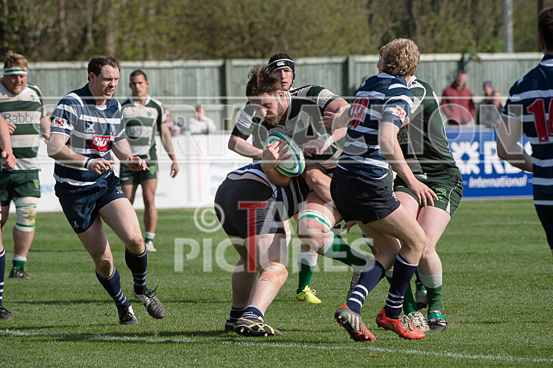 Guernsey v Westcombe Park-15 - GUERNSEY v WESTCOMBE PARK