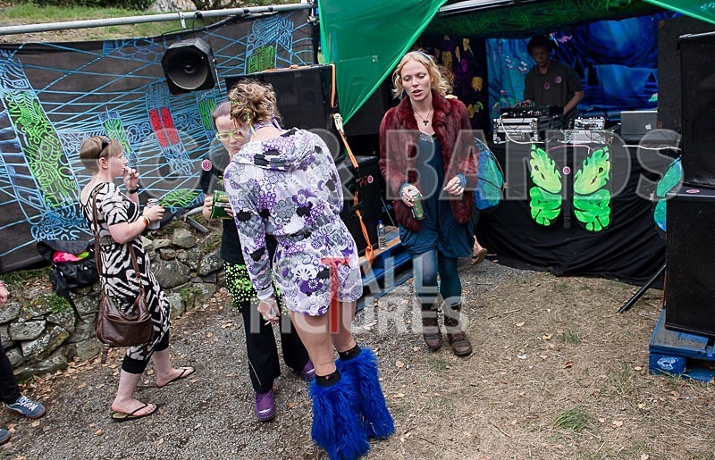 Vale Earth Fair_2013_Atmosphere-27 - VALE EARTH FAIR 2013_THE ATMOSPHERE