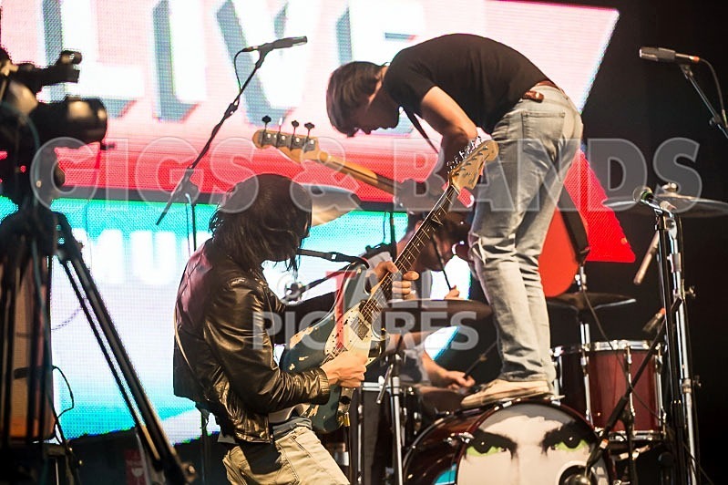 The Cribs-15 - THE CRIBS