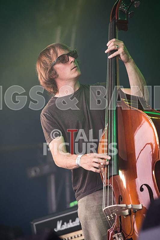 Buffalo Huddleston-171 - BUFFALO HUDDLESTON