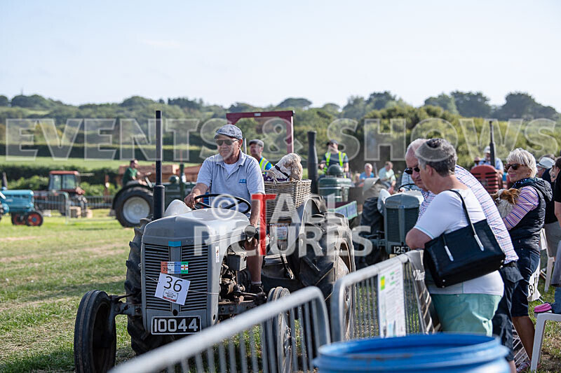 Guernsey Agricultural Show 2021-291 - GUERNSEY AGRICULTURAL SHOW 2021