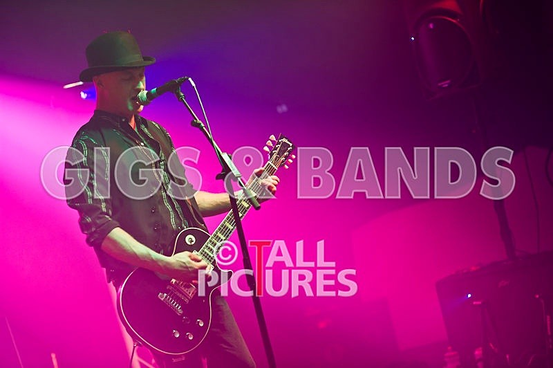 Peppered Ant Legs-53 - PEPPERED ANT LEGS